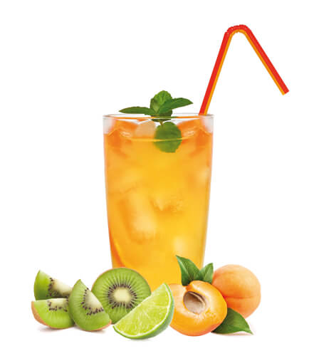 Sindirim Düzenleyici