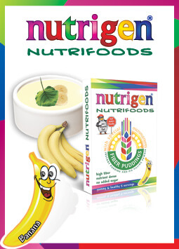 Nutrigen Muzlu Puding
